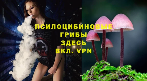 твердый Аша