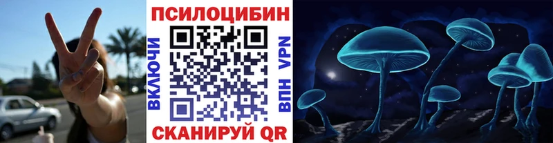 Псилоцибиновые грибы прущие грибы  дарк нет клад  Камышин 