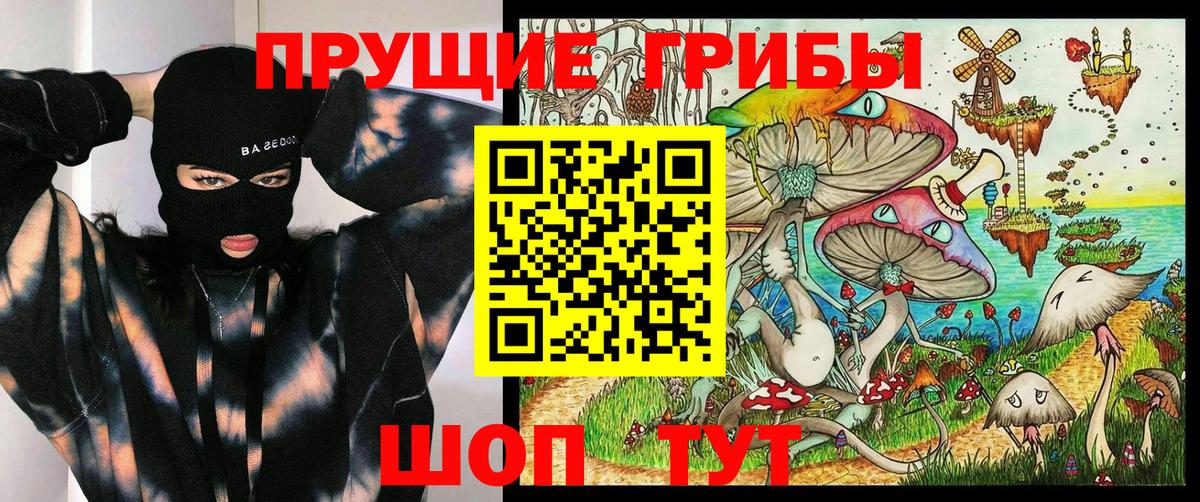 Псилоцибиновые грибы мицелий Камышин