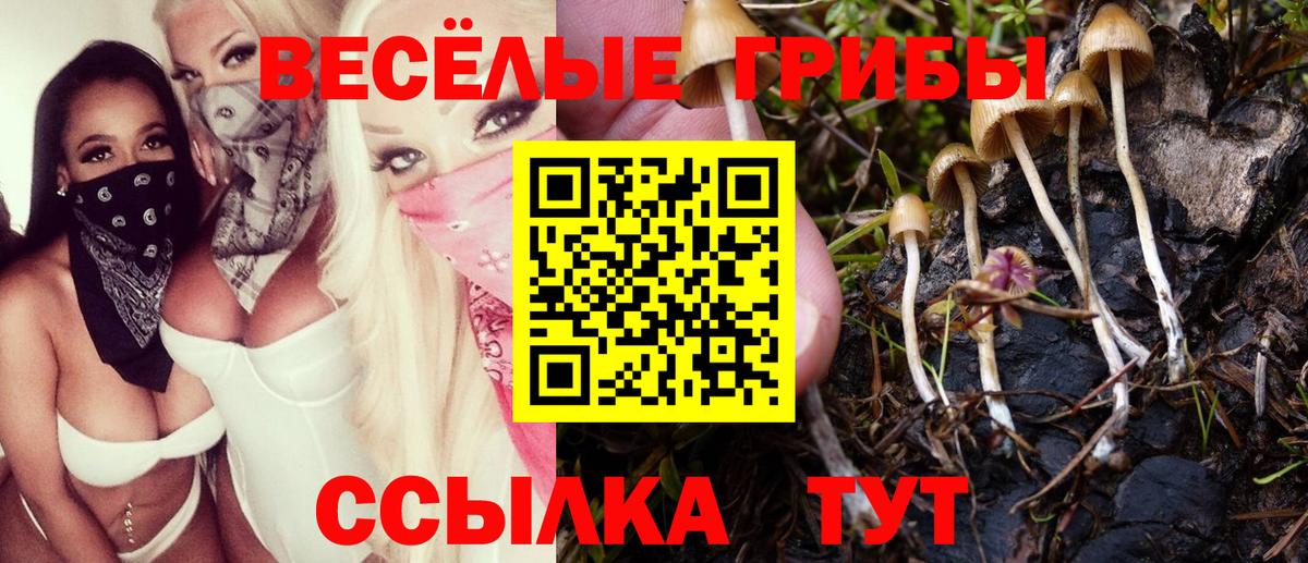 Камышин  Псилоцибиновые грибы MAGIC MUSHROOMS  Вход с VPN  Псилоцибиновые грибы Psilocybine cubensis 